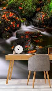 Autumn Melodies Wallpaper Mural Mural Wallpaper Wall Murals Light And Space