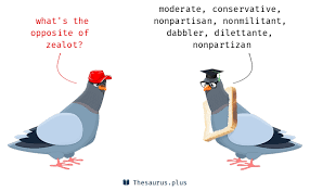 7 Zealot Antonyms Full List Of Opposite Words Of Zealot