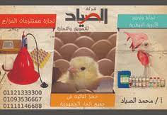 شركة الصياد للتسويق والتجارة تجارة وتوزيع الادوية البيطرية تجارة مستلزمات المزارع حجز كتاكيت فى جميع أنحاء الجمهورية أ محمد الصياد ت 0112133 hamster animals