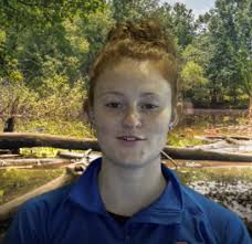 FOCUS: Search tool reaches elementary-aged students 'in a way they  understand'