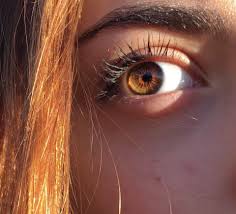 Ayyyvreytate Gozler Fotografcilik Goz Rengi