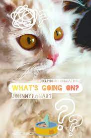 watch this video 𝗦𝗺𝗶𝗹𝗲 𝗧𝗶𝗺𝗲 in 2021 cat and dogs funny cats johnny fanart