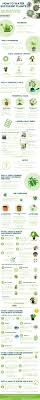 When the plant is dry, then we have to pour water. How Often To Water Succulents With Best Succulent Tools Infographic