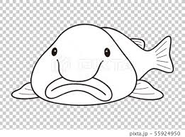 Show your kids a fun way to learn the abcs with alphabet printables they can color. Blobfish New Year S Deer Deep Sea Fish Stock Illustration 55924950 Pixta
