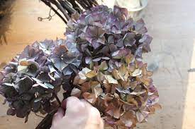 How To Dry Hydrangeas And Make A Dried Hydrangea Wreath A Country Girl S Life In 2020 Dried Hydrangeas Dried Flowers Diy Dried Flowers