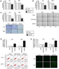 Tumor Suppressive Microrna 223 Targets Wdr62 Directly In