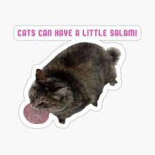Cats Can Have A Little Salami Sticker By Catbruh Redbubble