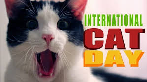 The festivities were put together for the first time in 2002 by ifaw, the international fund for animal welfare, among other animal rights groups, to celebrate the most popular pet on the. International Cat Day 2021 Fun Facts About Cats Naijaonlineguide
