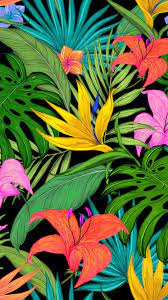 Maybe you would like to learn more about one of these? Tropical Flowers Tumblr Wallpapers Top Free Tropical Flowers Tumblr Backgrounds Wallpaperaccess