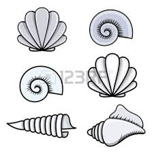 Muscheln Cartoon Vektor Illustration Muscheltatowierungen Muscheln Zeichnen Illustration