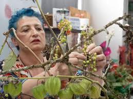 Maybe you would like to learn more about one of these? Una Avilesina Ensena Los Secretos Del Diseno Floral Por Toda Rusia El Comercio