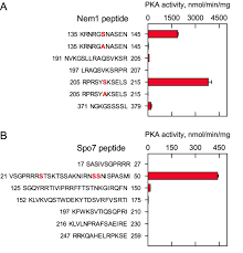 Les services disponibles avec vos identifiants impots.gouv.fr, vous pouvez effectuer des démarches administratives sur des sites partenaires de franceconnect. Protein Kinase A Phosphorylates The Nem1 Spo7 Protein Phosphatase Complex That Regulates The Phosphorylation State Of The Phosphatidate Phosphatase Pah1 In Yeast Journal Of Biological Chemistry