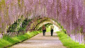 To install on your device, you can use the instructions at the bottom of the page. Spring Wallpapers Hd 85 Background Pictures