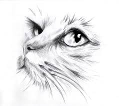 Chat dessins simple / comment dessiner le chat sur les cours de dessin a paris artacademie. 1001 Exemples Et Tutoriels Comment Dessiner Un Chat