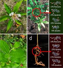 Image result for Reserpine