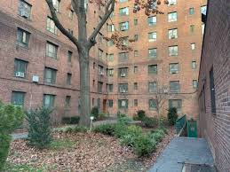 In Contract Residential 1 Bed 1 Bath Built In 1940 In Bronx Ny Real Estate Real Estate Agent House Hunting