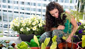 How amazing could it be to have an indoor garden! Kitchen Gardening Basics Horticulture Tips To Grow Food At Home