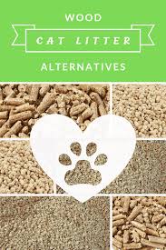 Wood Cat Litter Alternatives In 2020 Wood Cat Paper Cat Litter Cat Litter