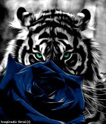 Tiger Ww Rt Rose Blue By Ponthieu14 On Deviantart Tiger Pictures Universe Art Beautiful Gif