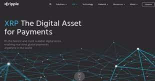 Ripple xrp has gone up a lot today i tell you the exact reason why. Bitcoin In 2030 Why Is Ripple Not Going Up