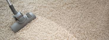 Image result for professional carpet cleanersâ