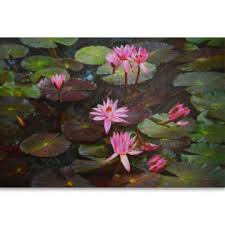 Buddha kunst buddha art hands holding flowers tibet art pichwai paintings kerala mural painting thangka painting thai art zen art. The Best Lotus Flower Paintings And Original Art Online