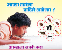 Pest control service in mumbai, navi mumbai, thane, pune, andheri, mulund, vashi, dadar, borivali, bandra, kandivali, goregaon, kalyan, dombivli, badlapur highly trained and certified technicians. Pest Control Services In Thane Navi Mumbai Kalyan Ghatkopar Pepstoppestcontrol Com