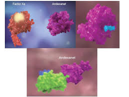 Image result for Andexxa