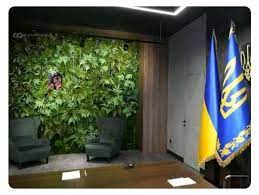 Законопроект о медицинском каннабисе готов к первому чтению, - "слуга народа" Арахамия - Цензор.НЕТ 1957