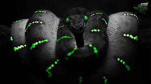 Razer Wallpapers 1920x1080 Wallpaper Cave 19 razer wallpapers (laptop full hd 1080p) 1920x1080 resolution. razer wallpapers 1920x1080 wallpaper cave