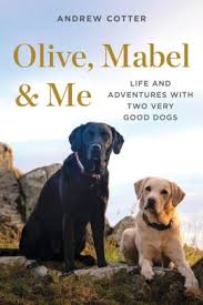 Olive Mabel Me Life And Adventures With Two Very Good Dogs By Andrew Cotter Hardcover Barnes Noble