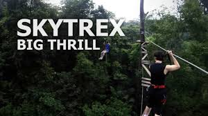 Find the reviews and ratings to know better. Skytrex Big Thrill Jungle Canopy Rope Course Gopro Youtube
