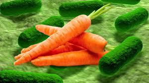 https://www.google.com/url?sa=i&url=https%3A%2F%2Ffinance.yahoo.com%2Fnews%2Forganic-carrots-recalled-deadly-e-130400472.html&psig=AOvVaw14xL_7D1EAEE2tAQvsHfX7&ust=1734119197413000&source=images&cd=vfe&opi=89978449&ved=0CBQQjRxqFwoTCKC8xs__oooDFQAAAAAdAAAAABAJ