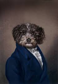 5 out of 5 stars. Pet Portraits