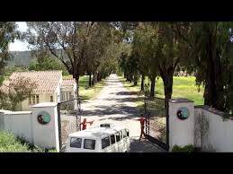 Never Really Over Lyrics Katy Perry In 2019 Katy Perry The Greatest Showman Caribbean Netherlands