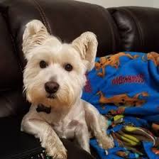 tabitha barron (tabitharw40)