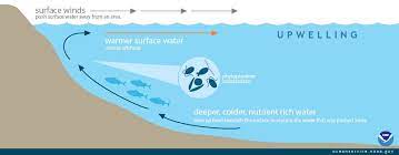 What Is Upwelling Being Pushed Away Surface Water Oceanography