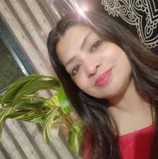 What are the best indoor plants that are low maintenance and pet friendly?