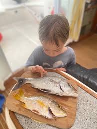 We did not find results for: Food Poisoning Linked To Eating Fish Is On The Rise Leaving Some Victims With Strange Neurological Effects Discover Magazine