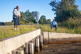 Inner coast: Lake Mattamuskeet draws outdoor enthusiasts