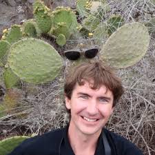 Image result for Triumfetta setulosa