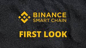 Extreme capital efficiency for #bsc tokens binance smart chain ретвитнул(а) shield protocol. Binance Smart Chain First Look