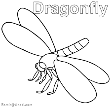 She is always hungry and tireless. Printable Dragonfly Coloring Pages Free Coloring Sheets Animal Coloring Pages Coloring Pages Free Coloring Sheets