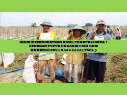 Gdm Sebuah Produk Pupuk Nutrisi Organic Cair Yang Mengandung Zat Yang Dibutuhkan Oleh Tanaman Dan Ternak Unsur Hara Dengan Gambar Pupuk Organik Tanaman Jenis