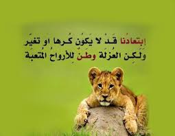 صور مكتوب عليها كلام ألماس بلوجر Blogger