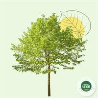 Avis de décès Bernard GENOT