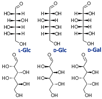 Estereoisomería en hexosas