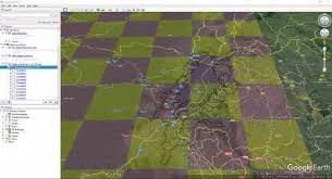 Image result for Vittaria reekmansii