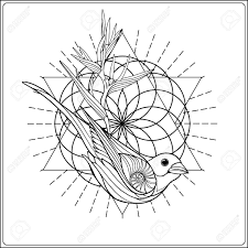 Check out our dog outline drawing selection for the very best in unique or custom, handmade pieces from our art & collectibles shops. Tropical Animals And Plants Background With Sacred Geometry Royalty Free Cliparts Vectors And Stock Illustration Image 60088780