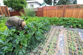 This Urban Farmer Makes 75k Year Here S How